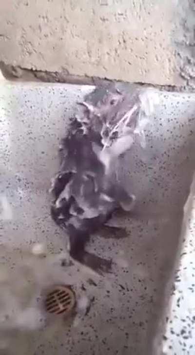 I'm 15 and this is yeet