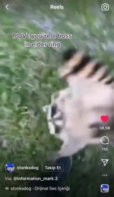 burcu şefim be like