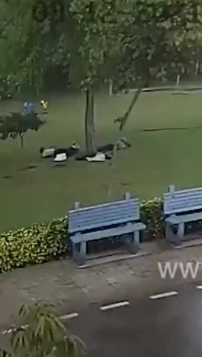 4 men find out the hard way taking shelter from thunderstorm under a tree proves is bad idea