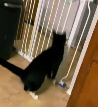 Work smarter, not harder