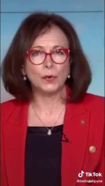 The LNP confirms wind power doesn’t work at night