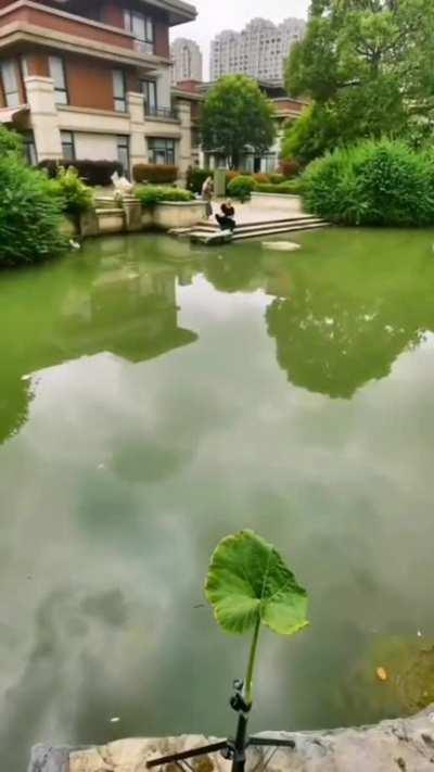 This impressively accurate card cutter