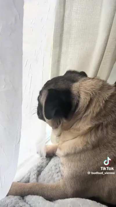 perfectly cut scream