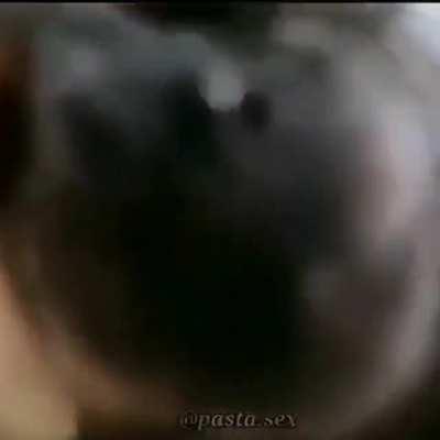 Here’s a bit of monkey love to you all ❤️