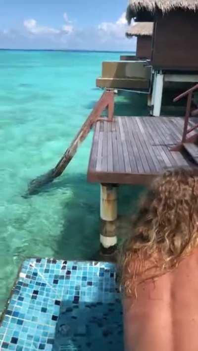 Honeymoon Sex Tape in Paradise-Sex Vacations !!