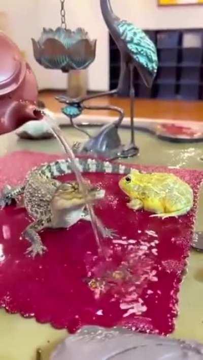 Have a great Wednesday dudes!