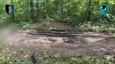 Operators from the 73rd Marine Center of the Special Operations Forces conducted a special ambush in the rear.