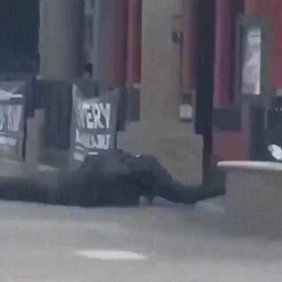 HTDYL Charging at a police officer