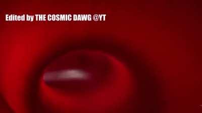 Red Notice in an alternate reality. (Edited by THE COSMIC DAWG @YT)(Me)