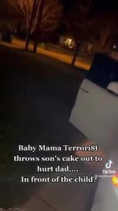 POS Mother throws son's birthday cake on the ground during argument with Father