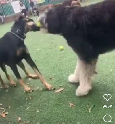 I didn’t see that coming…