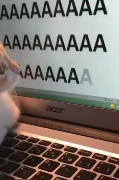 aaaaaAaaaAAAAAaaaa
