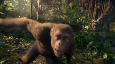 Apenas eu e meus casas ensaiando para o churras