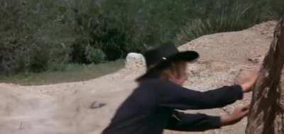 It brings 'em all to the yard in October (damn right, it's better than yours!)