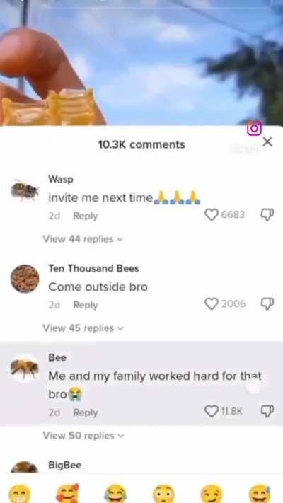 Bee community is not happy 