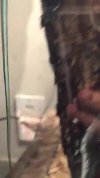 Snek.exe has stopped working.