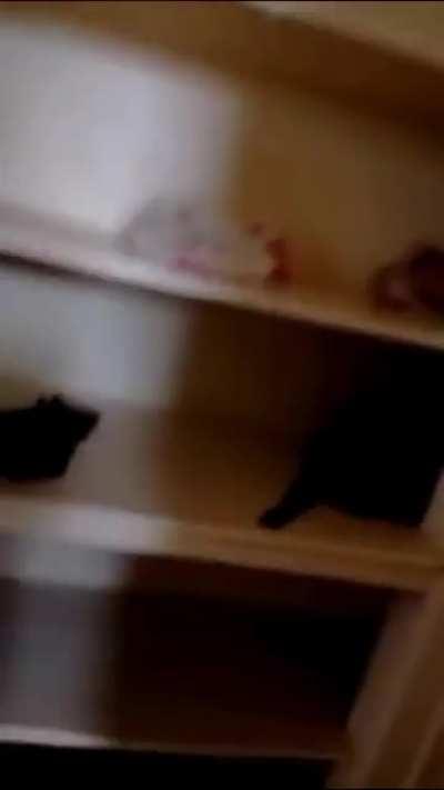 Girl gets caught in someones house