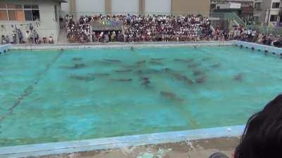 FREEDOM DIVE in the Pool