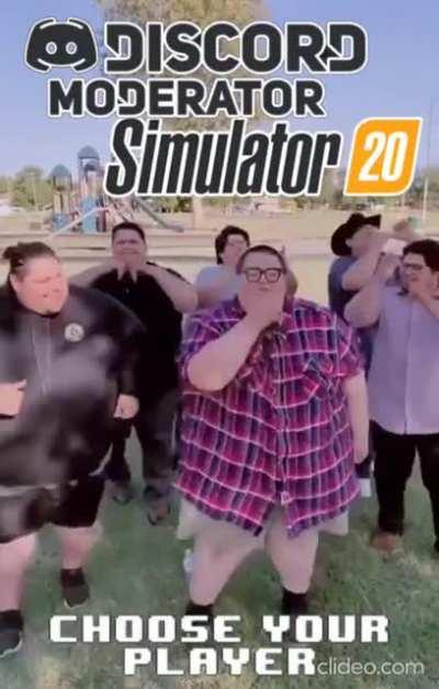 Discord moderator simulator 2020 (creditos do mems nos comentários)