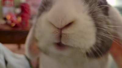 Greedy little mouf