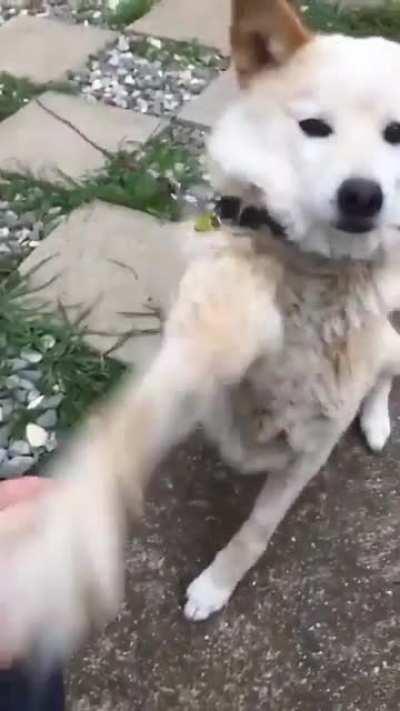 High Five goes wrong!