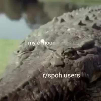me when i see a r/spoh user that tries to flex it