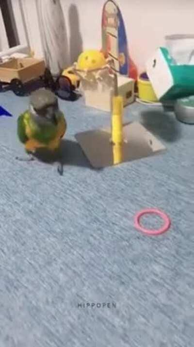 InNoCeNt BiRd FoRcEd To Do BaCkBrEaKiNg LaBoR aNd ThEn Is MuRdErEd