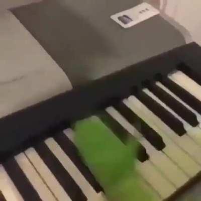 Literalmente yo sin los streams de timi :(