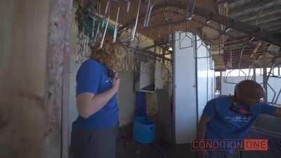 Vegans invade a duck factory farm and lock themselves by the neck to the machinery, almost get choked or decapitated in the process