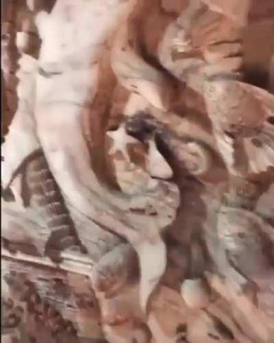 This guy carved a whole scene inside a fallen tree