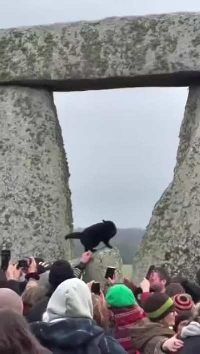 He simply understands that everybody is there to see him!