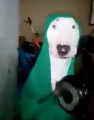 me uncloaking as wraith