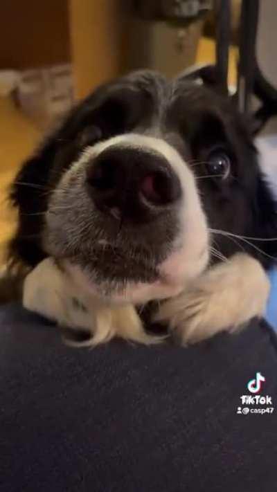 Those puppy eyes melt my heart every time