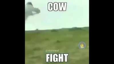 kung fu panda 69 release 😎😱