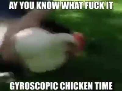 Gyroscopic chicken, what will he do?