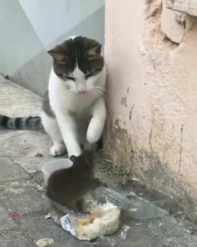 Excuse me...Sir? Hello? Could you spare some food?