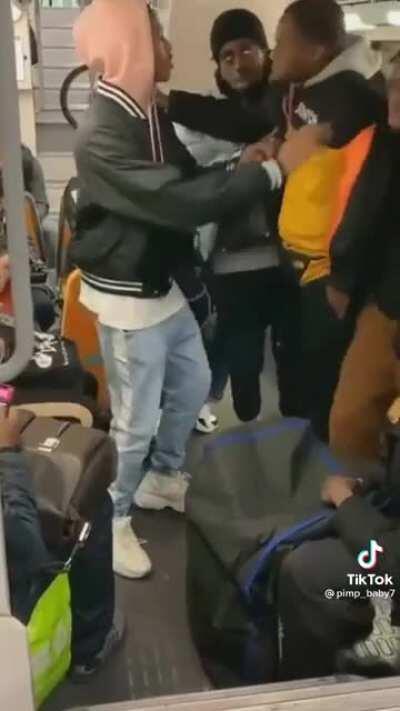 Credit to @pimp_baby7 on TikTok!