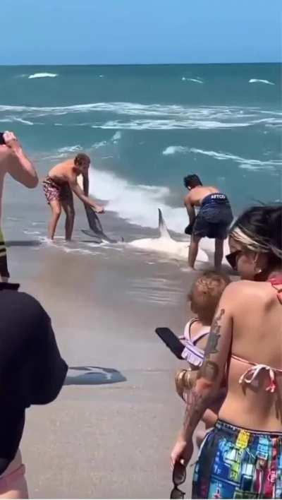 Guy caught a shark (Heil spez)