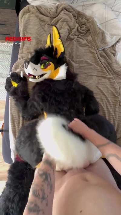 Look at that fluffy ass 🐶[Foxgirl_Nova][M&F]