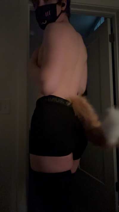 pick up your government-mandated puppyboy today! :3