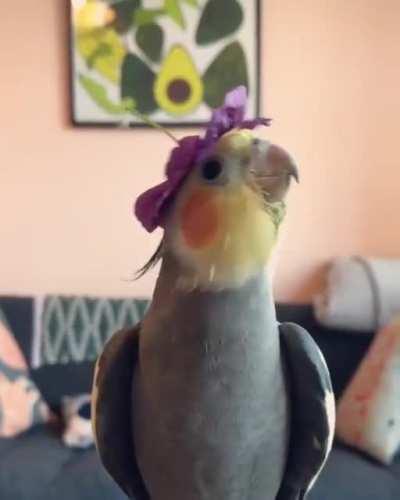 I'm a little tea...wait, how does it go again? Ahem, I'm a little teapot short and...damn!