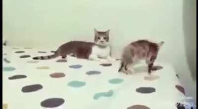 What...what just happened?