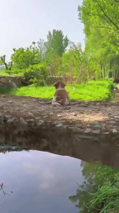 Best friends forever