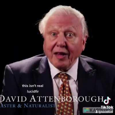 Attenborough likes kebab shop