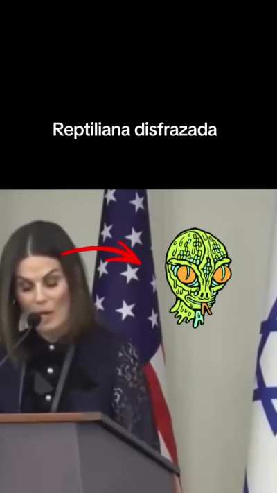 reptilian regulations begin