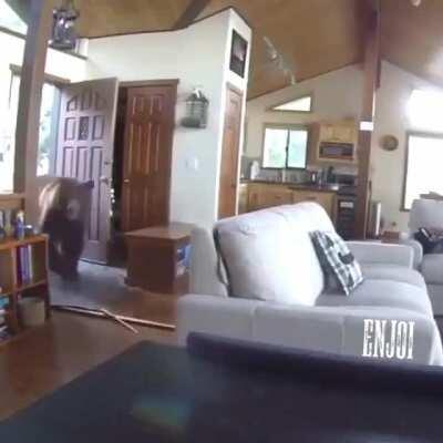 A beary big surprise visitor