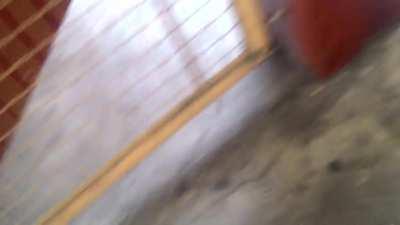 A video me and my friend made last year