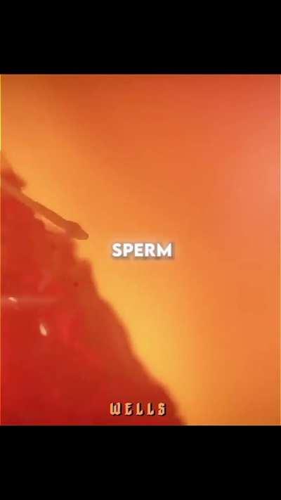 Just like me back in my prime fr