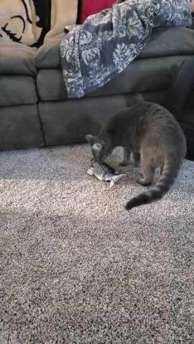 Fish! (Sorry for background noise)