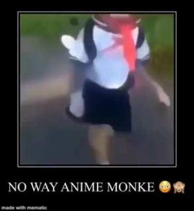 Noooo el mono se volvio otakuu